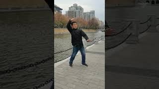 Chop-Punch Yiquan