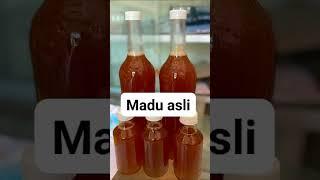 Madu asli