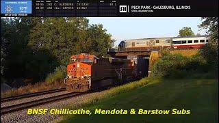 Galesburg Peck Park Live Railcam - Galesburg, IL #SteelHighway