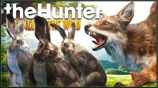 Did I Get the RAREST Diamond? | Classic Hunt in the Hunter Call of the Wild