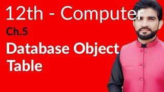 ICS Computer Part 2- Ch 5 - Data Base Object Table - Inter Part 2 Computer