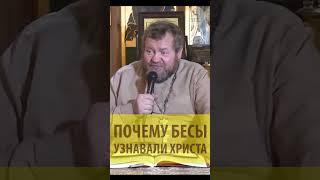 Почему бесы узнавали Христа? Священник Олег Стеняев