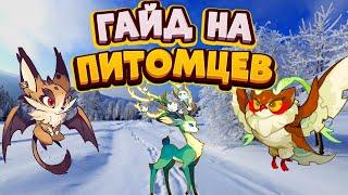 ГАЙД НА ПИТОМЦЕВ|ГАЙД НА ЗВЕРЕЙ В АФК АРЕНЕ. КАК КАЧАТЬ ПИТОМЦЕВ В АФК АРЕНЕ|AFK ARENA