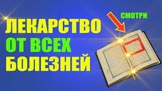 ЭТО СРОЧНО НАДО ЗНАТЬ! Одно лекарство от всех болезней! Хадисы Пророка об этом! Факты из КОРАНА!