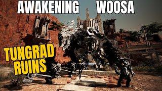 BDO - Awakening Woosa - Tungrad Ruins - Combo Guide