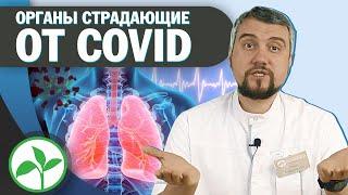 КАКИЕ ОРГАНЫ АТАКУЕТ COVID19? Симптомы и повреждения ДРУГИХ ОРГАНОВ |Доктор Юрий Устинов