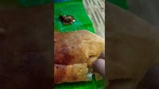 Parthasarathy hotel Trichy |#Superdosa |நெய் தோசை |Parthasarathy Vilas |Famous Vegetarian|ghee roast