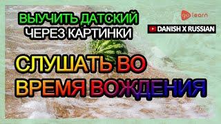 Выучить датский через картинки |датский словарь слушать во время вождения | Golearn