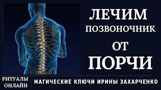 ПОРЧА НА ПОЗВОНОЧНИКЕ. ХРОНИЧЕСКИЕ БОЛИ. ЗАЩЕМЛЕНИЕ, ГРЫЖА, ХОНДРОЗЫ.