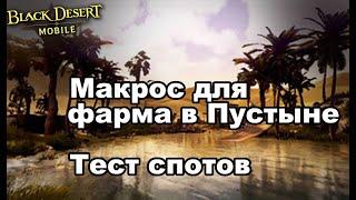 БДМ: Макрос для фарма и тесты спотов в Великой пустыне в Black Desert Mobile