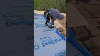 HOUSE #23 | ROOF paper