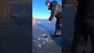 зимняя рыбалка на жерлицы #рыбалка #зимняярыбалка #рыболов