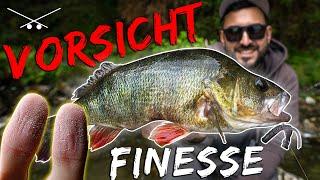 Barsche zerstören Daumen  Angeln mit Drop Shot, Carolina Rig und Micro Jig