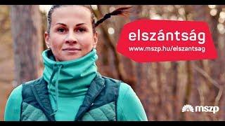 MSZP | Elszántság