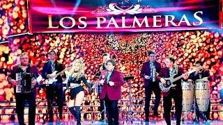 Los Palmeras cantaron "Bombón asesino" y se armó la fiesta en la pista de Showmatch