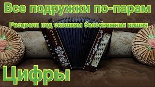 Все подружки по-парам. Расцвела под окошком белоснежная вишня на гармони