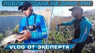 Спиннинговая рыбалка! Ловля судака на джиг риг! VLOG от братьев Билан!