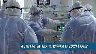 На преступника вывели ДНК-следы...//4 летальных случая в 2023 году//Истории двух воровок - Абакан 24