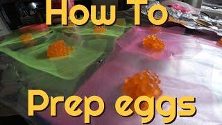 How to Prep Eggs for Storage and Fishing. Freezing, Curing Tips! Useful for Trout and Salmon Eggs