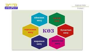 5-класс | Кыргыз тили | Бир маанилүү жана көп маанилүү сөздөр