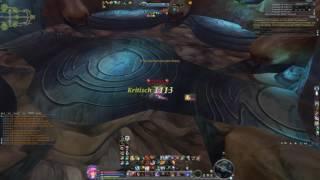 Aion 5.3 Assassin FFA leach