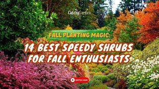 Fall Planting Magic: 14 Best Speedy Shrubs for Fall Enthusiasts!  // Gardening Ideas