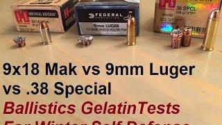 9x18 Makarov vs 9x19 Luger vs  38 Special Ballistics Gelatin Tests for Winter Self Defense