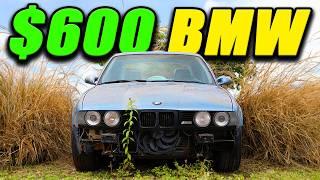 BRINGING MY $600 BUDGET BMW BACK TO LIFE!