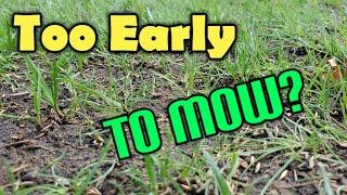 When To Mow New Grass From Seed + How Early Should You Cut The Lawn