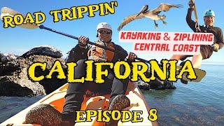 Experience the Thrills of California: Epic Kayaking and Zip Lining on the Central Coast‼️