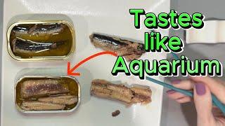 Safe Catch vs Wild Planet SARDINES in olive oil!