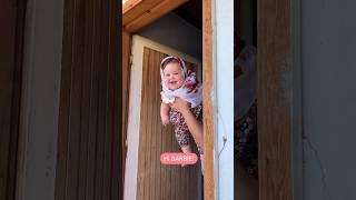 Bir minik kuzucuk inek ablasıyla bakıştıı  #shorts