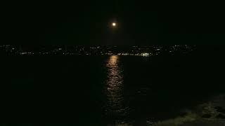 Full Moon Sound Therapy. Sea Lions barking. Ocean Waves. White noise. Deep sleep. Relax