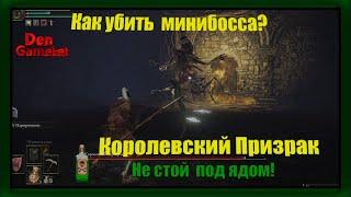 Как убить минибосса Королевский призрак Elden Ring, на примере битвы показываю когда бить + мувсет