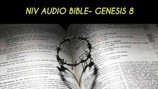 GENESIS 8 NIV AUDIO BIBLE (with text)