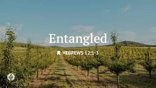 Entangled | Audio Reading | Our Daily Bread Devotional | June 23, 2025