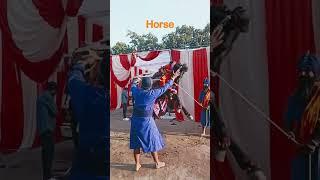horse#budhadal#nihang#dalpanth#khalsa#raja#bhaijaan#96croori#mahalla#up#baba#magarmach#delhi#sikh