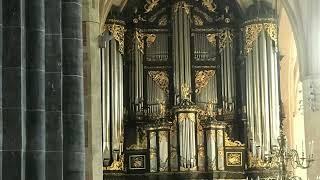 J.S. Bach - Pièce d'orgue BWV 572 - Patrick Rice