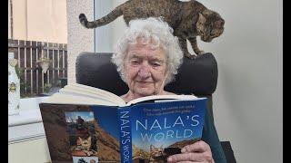 Family time - Cat NALA visits my gran ️