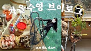 Autumn swimming| Panpo port | foreign friend | Living alone in JEJU