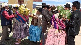 Mira las costumbres cuando una AUTORIDAD ORIGINARIA termina su GESTIÓN, pueblo Caluyo  Tiwanaku  