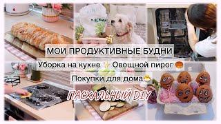 МОИ ПРОДУКТИВНЫЕ БУДНИ УБОРКА НА КУХНЕПАСХАЛЬНЫЙ DIY