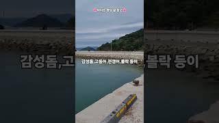 봄도다리 낚시 추천장소 #통영낚시 #통영낚시포인트 #거제도낚시 #거제도낚시포인트 #통영원투낚시 #원투낚시