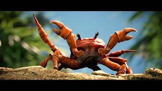 Roblox Midnight Horrors:CRAB is the Moviestar!
