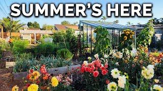 Summer Homestead Tour! It's Never Looked Better...