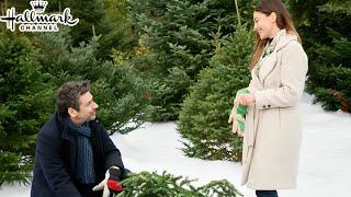 Best Hallmark Movie 2024 - New Hallmark Christmas 2024 - Great Hallmark Romance 2024 - Holiday 2024