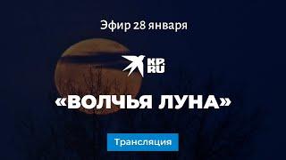 «Волчья луна» 28 января 2021 года: прямая трансляция