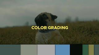 Cinematic Colour Grading (VIDEO) in Android | Flim Look | Alight Motion