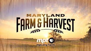 Watch Maryland Farm & Harvest!