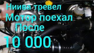 нива тревел мотор поехал после 10 000